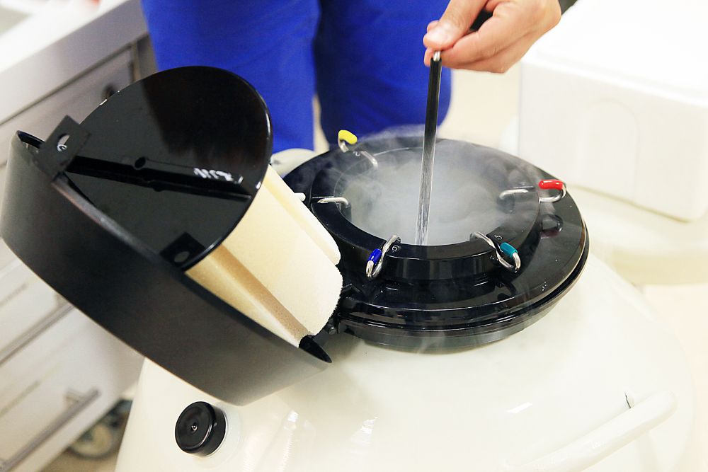 Liquid nitrogen storage for Frozen Embryos