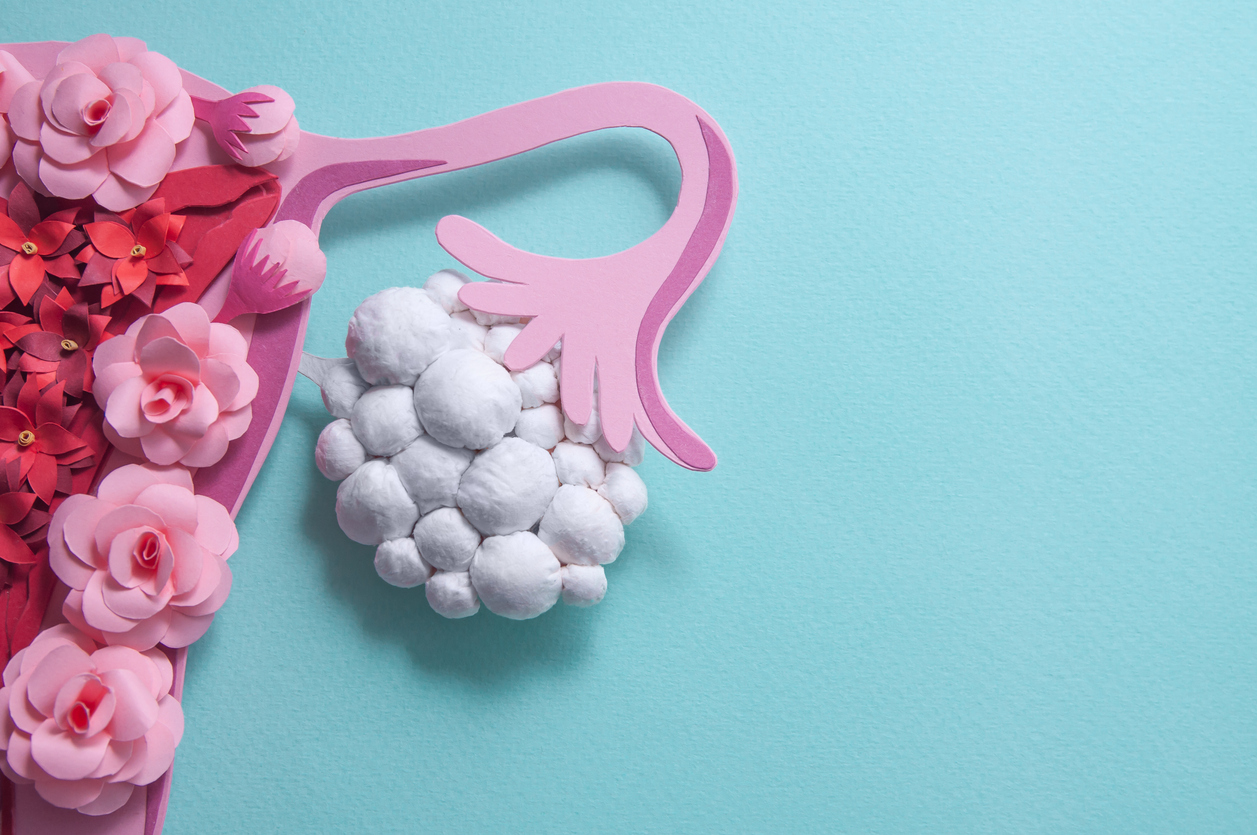 A plush of the female ovary