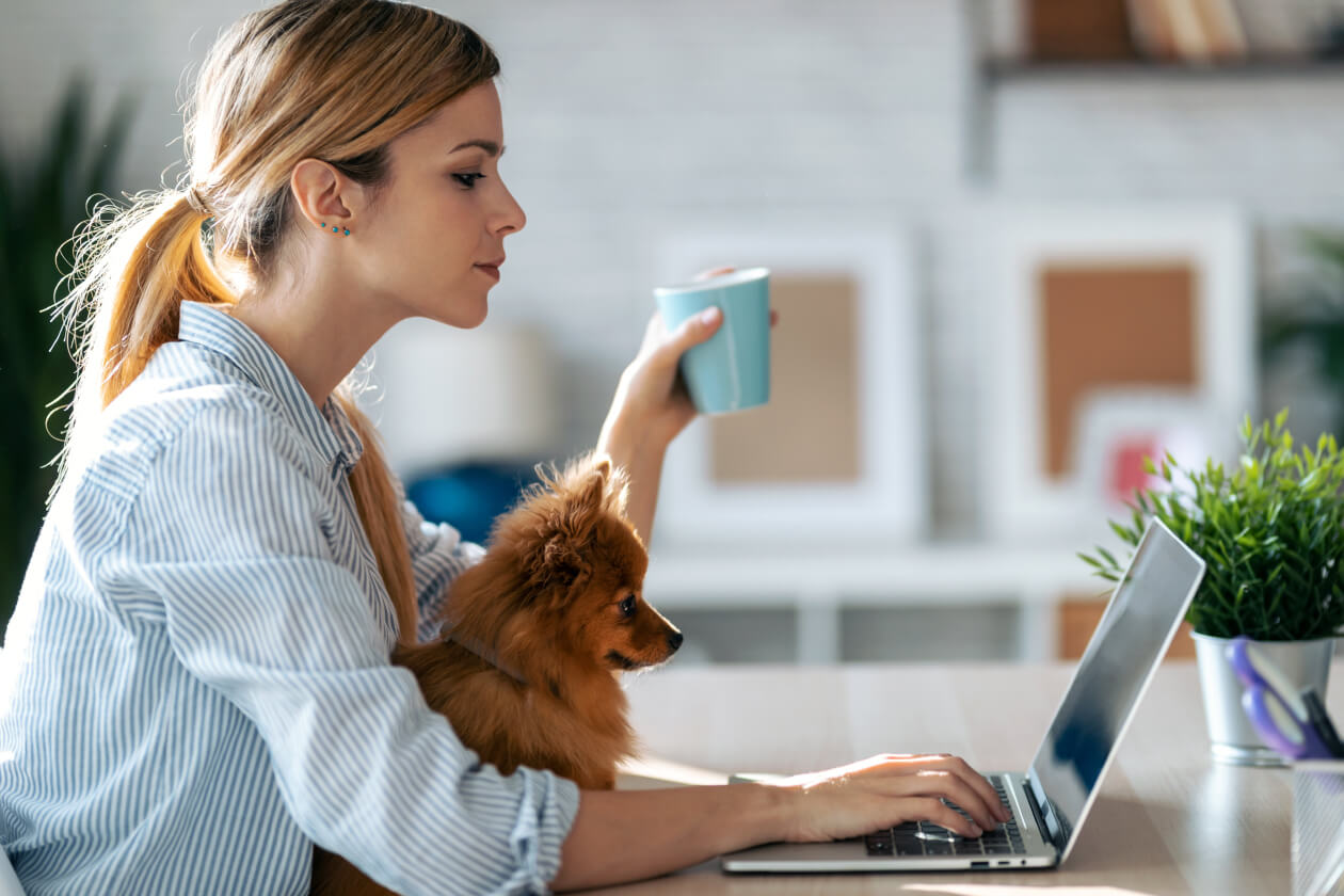 Lady and her dog staring at a laptop