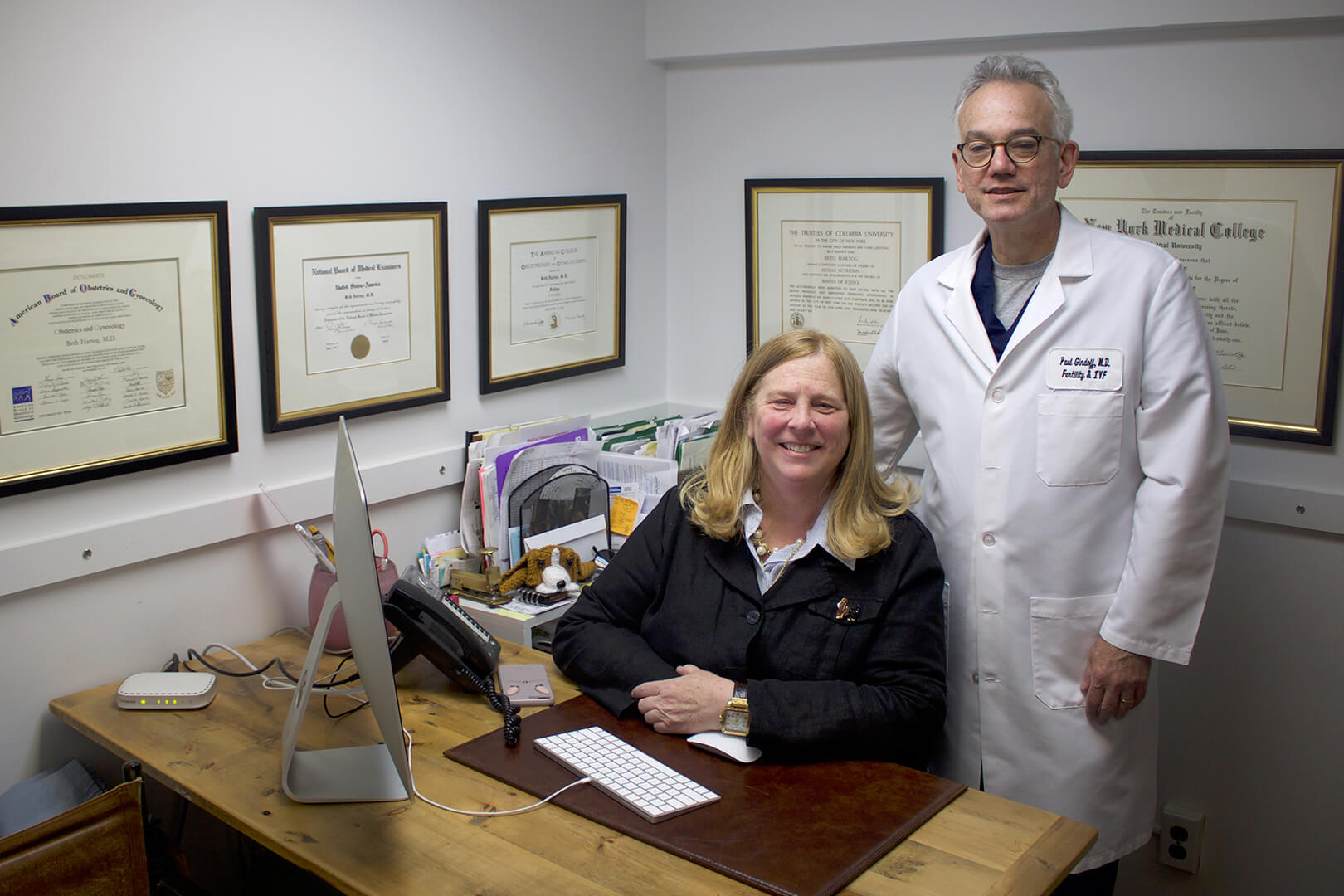 IVF laboratory workstation